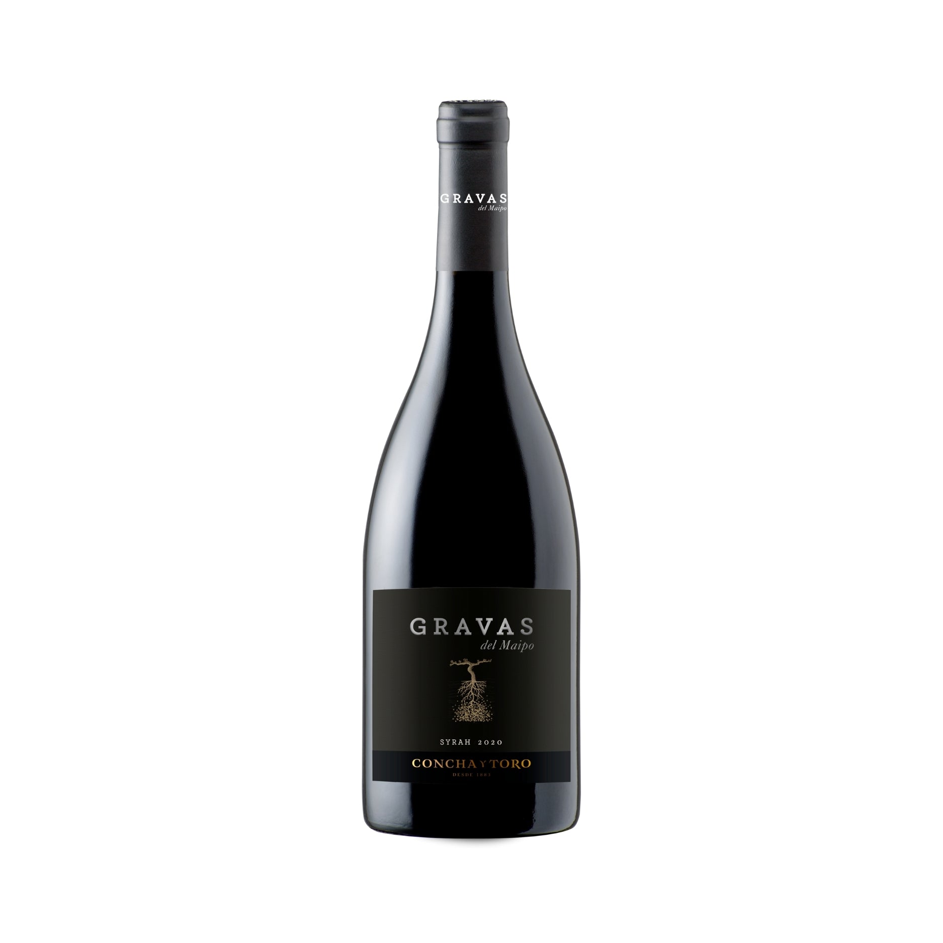 Concha Y Toro 'Gravas Del Maipo' Syrah (case of 6)