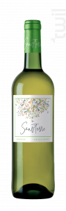 Bordeaux Blanc - Sauv'terre 2022
